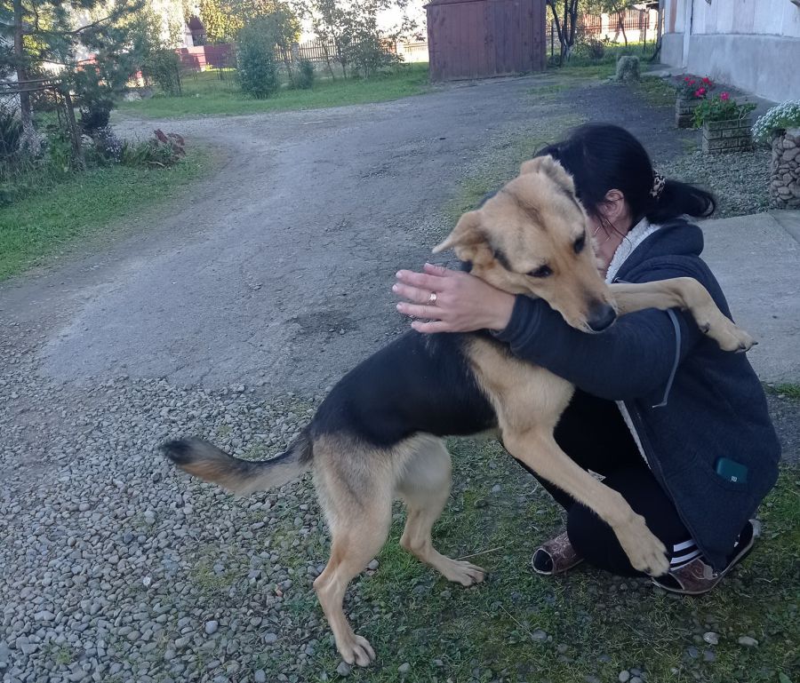 Мешканці Студінки піклуються про Лізу