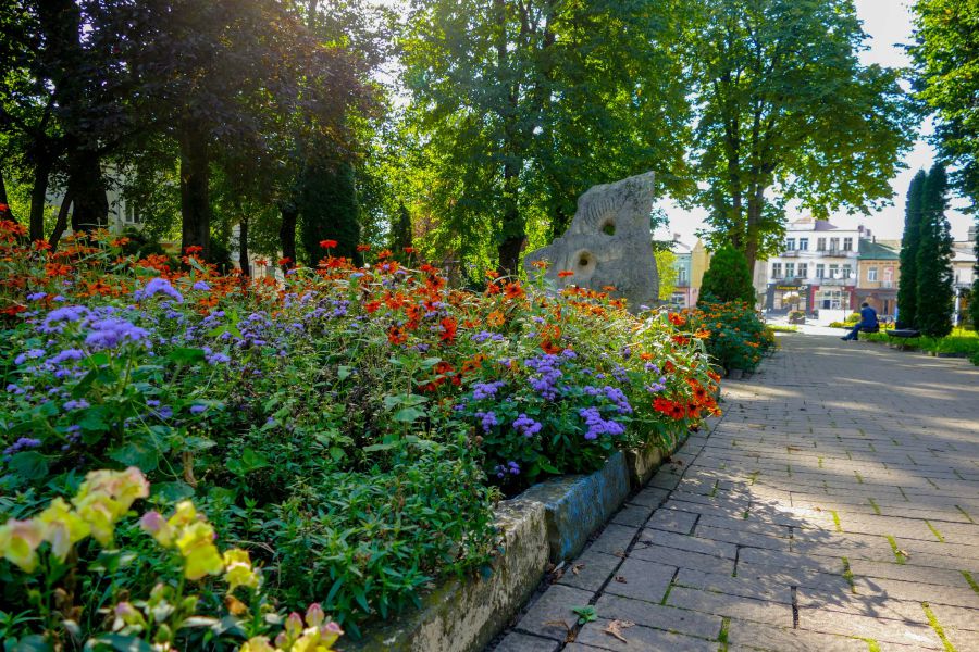У місті перевірять території загального користування. Фото: міська рада