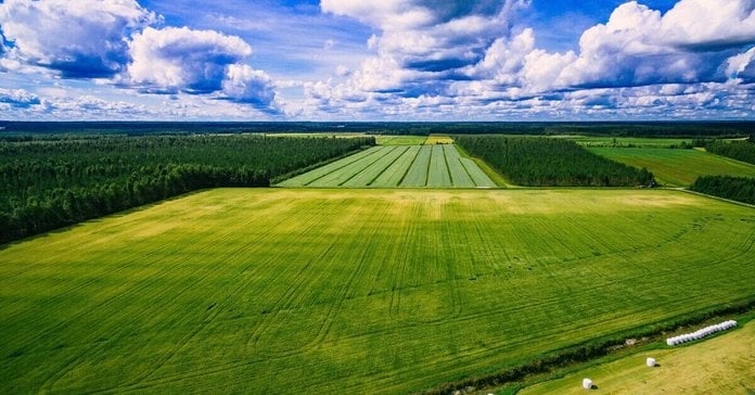 Ілюстроване фото. З 1 січня 2024 року розпочинається другий етап земельної реформи.