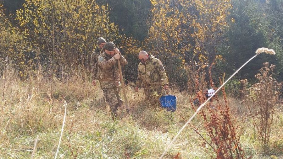 Фестиваль "Сад пам'яті" проводять у Бережниці шостий рік поспіль.