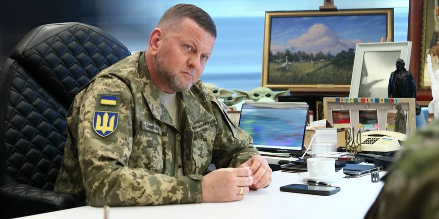 Валерій Залужний (Фото: Валерій Залужний/Telegram)