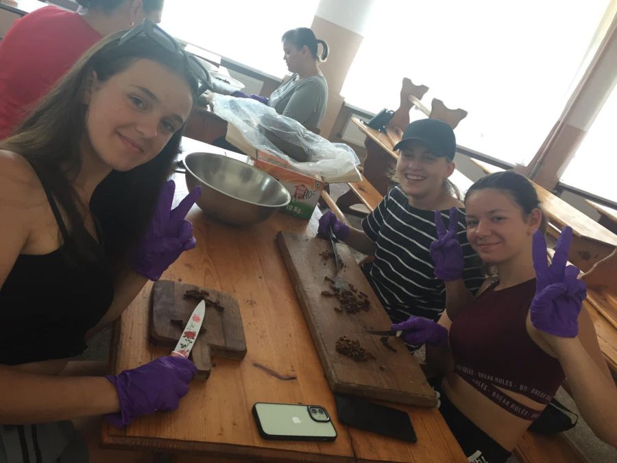 Село працює, готує, доставляє, передає і турбується, щоб воїни на полі бою були ситі.