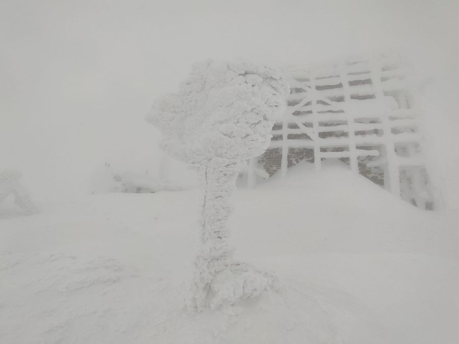 У Карпатах — лавинна небезпека