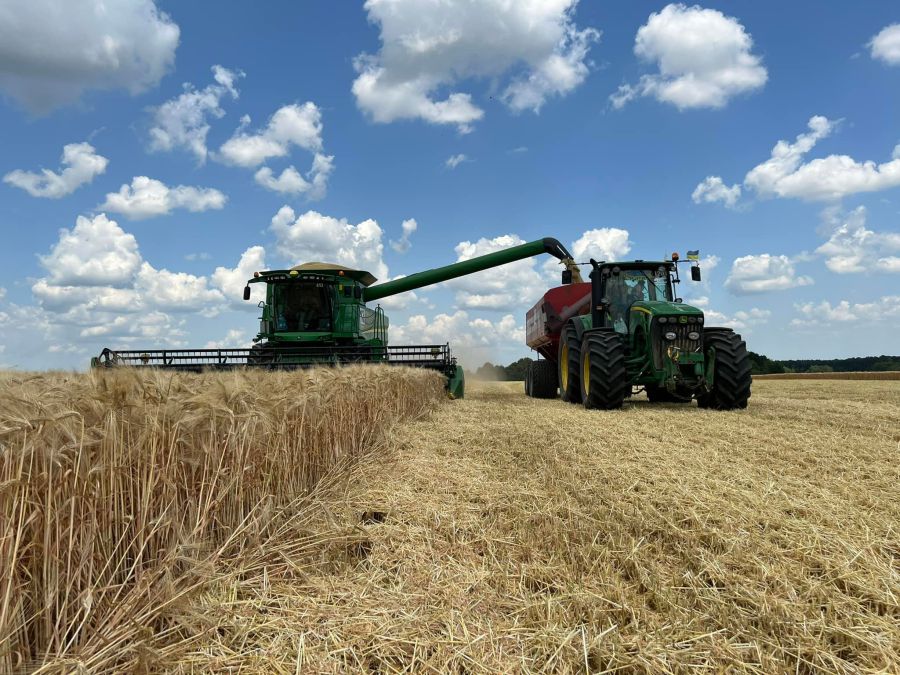 Ілюстроване фото. Земельні ділянки передають в оренду на строк 7 років