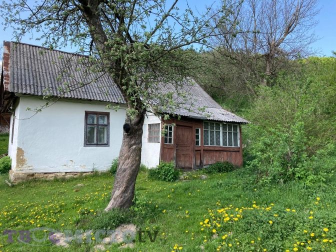 Ілюстроване фото. Дачні ділянки будуть викупляти в урочищі Височанка-Залісся, які перебувають у приватній власності.