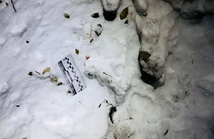 Жінка винесла тіло мертвої дитини з будинку та залишила його у пакеті надворі