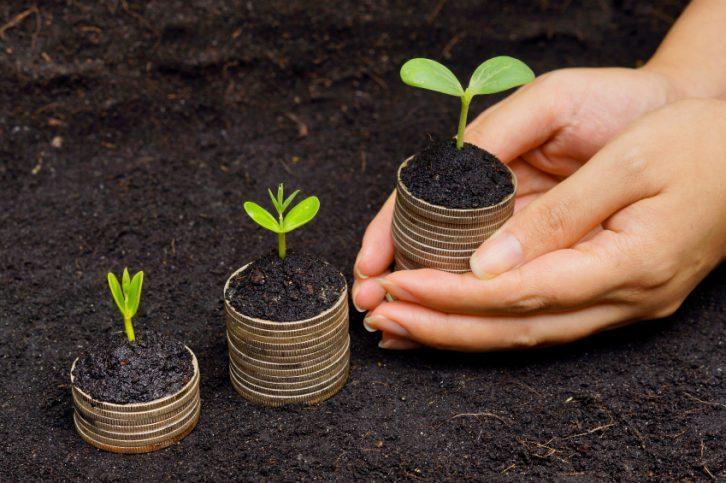 Ілюстроване фото. Земельні ділянки передають в оренду терміном на 7 років