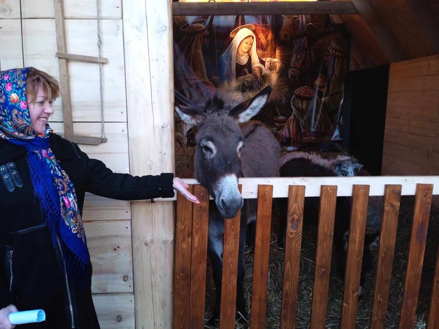 Тварини додавали дійству історичної нотки. Фото: Світлана Сокульська, Назар Бортник, скрін з відео