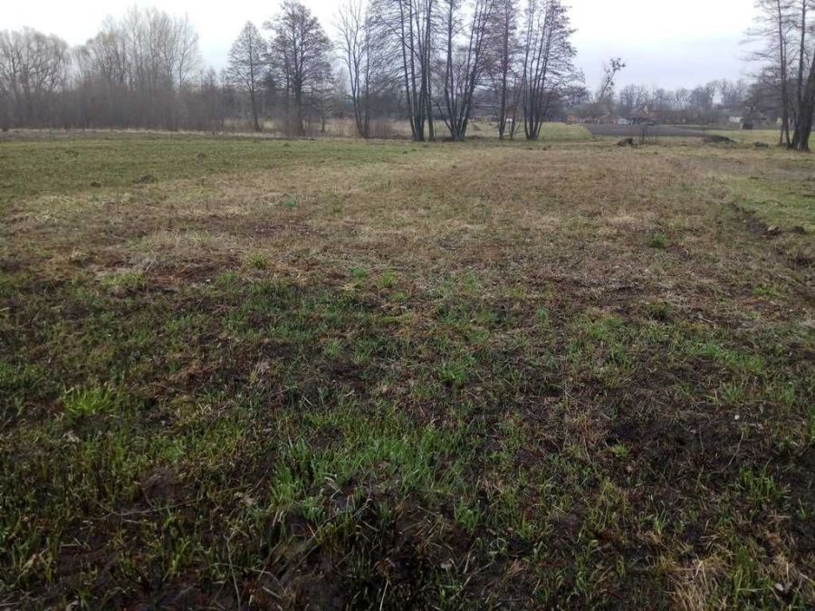 Ілюстроване фото. Результати попередніх торгів на земельні ділянки фактично анульовані