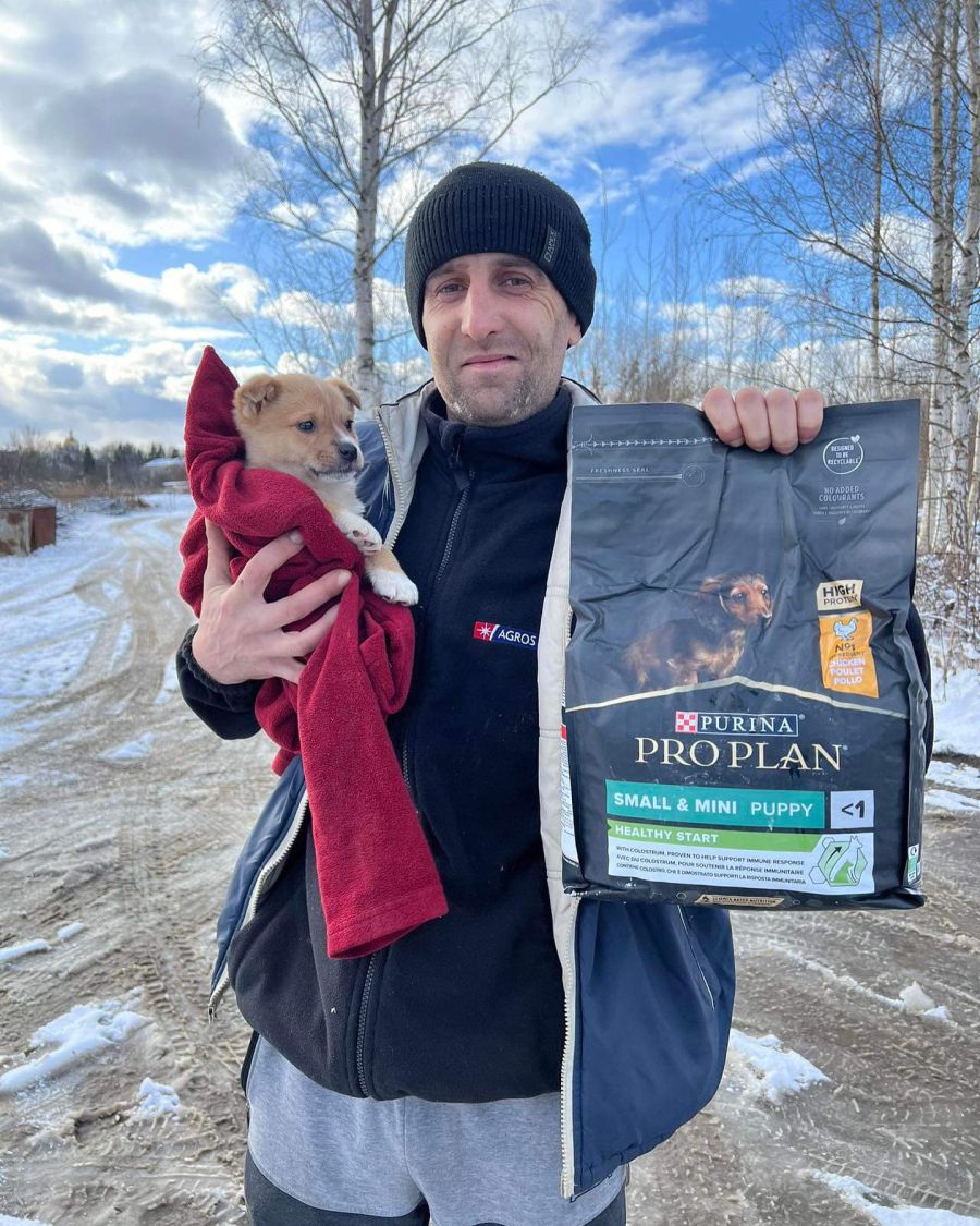 "Дім Сірка" дарує вірних друзів, а собакам-безхатькам — теплі домівки.