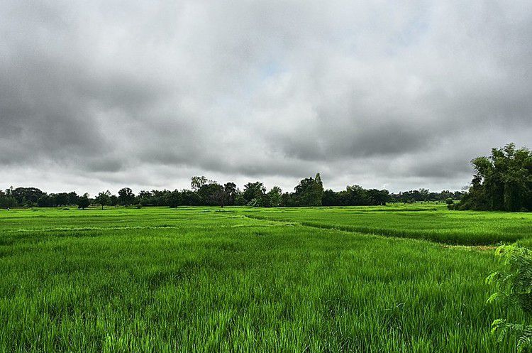 Ілюстроване фото. Прокуратура через суд повертає тергромаді сільськогосподарські угіддя