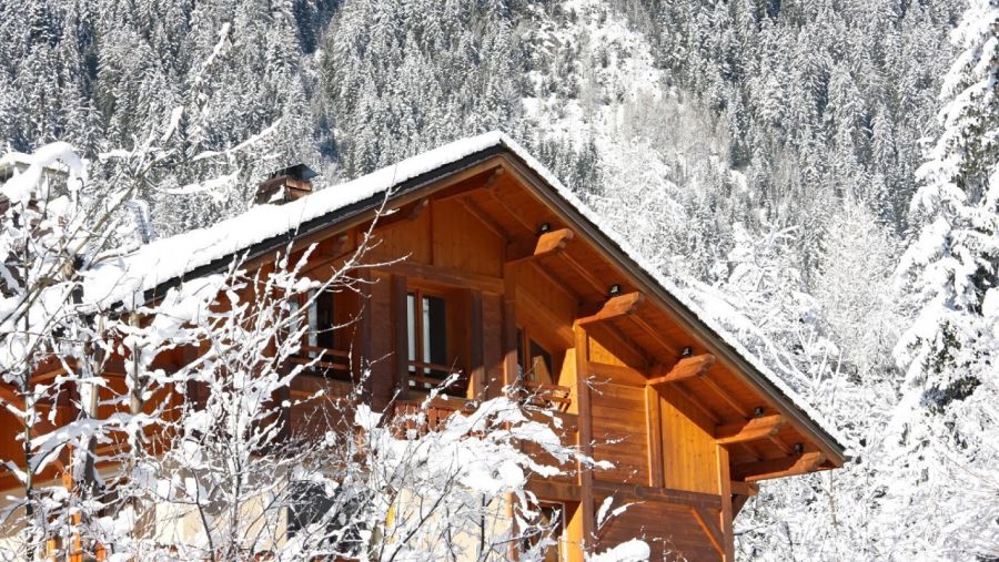 Ілюстроване фото. На сьогодні поліція встановила близько 60 потерпілих з різних куточків України