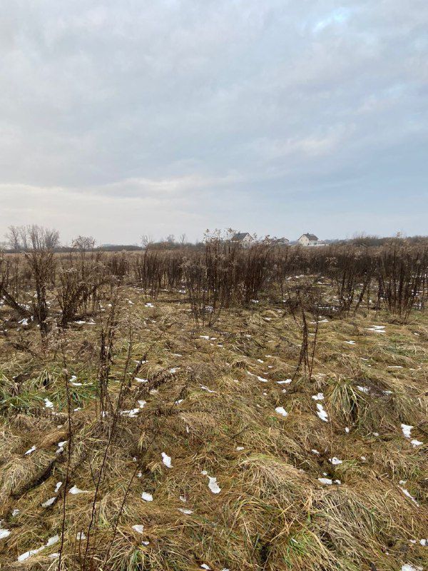 Ілюстроване фото. Період подання заяв на участь в електронних аукціонах — з 19 лютого по 17 березня