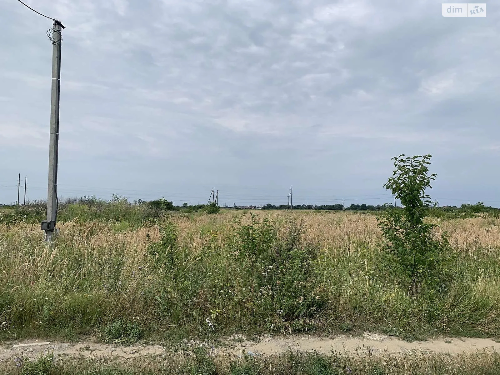 Ілюстроване фото. Період подання заяв на участь в аукціоні завершується 18 березня