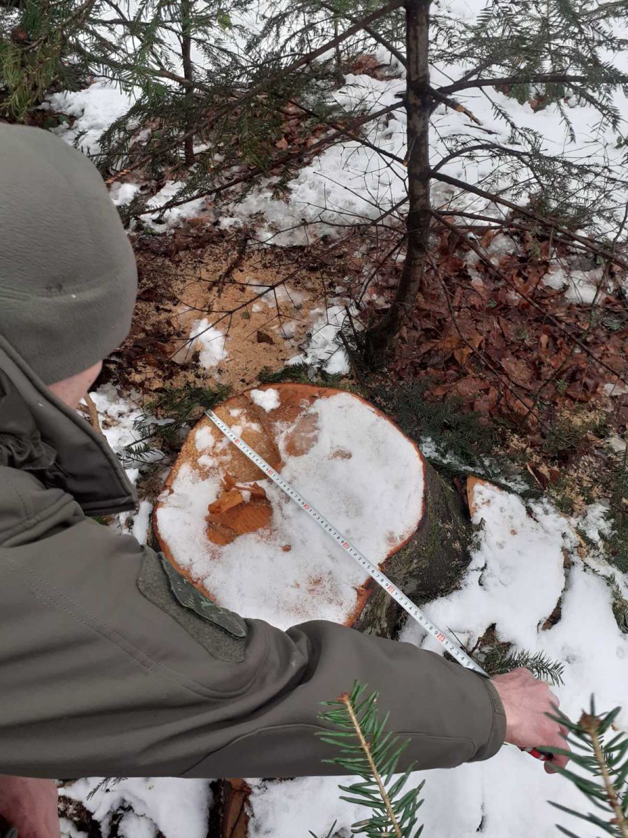 Навколишньому середовищу завдали шкоди на більш ніж 4 млн гривень