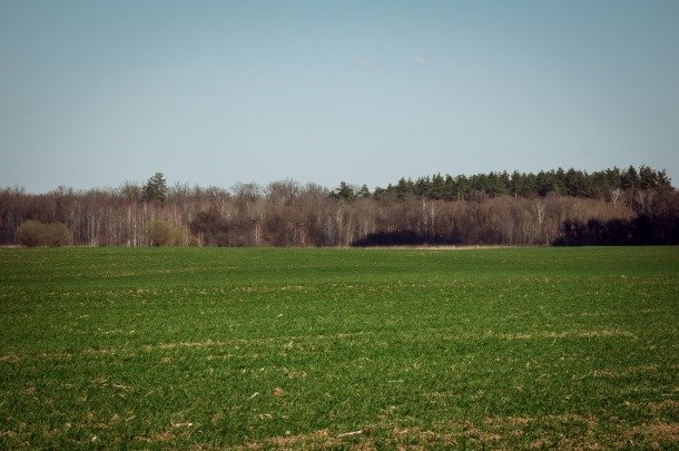 Ілюстроване фото. Земельні ділянки призначені для ведення товарного сільськогосподарського виробництва