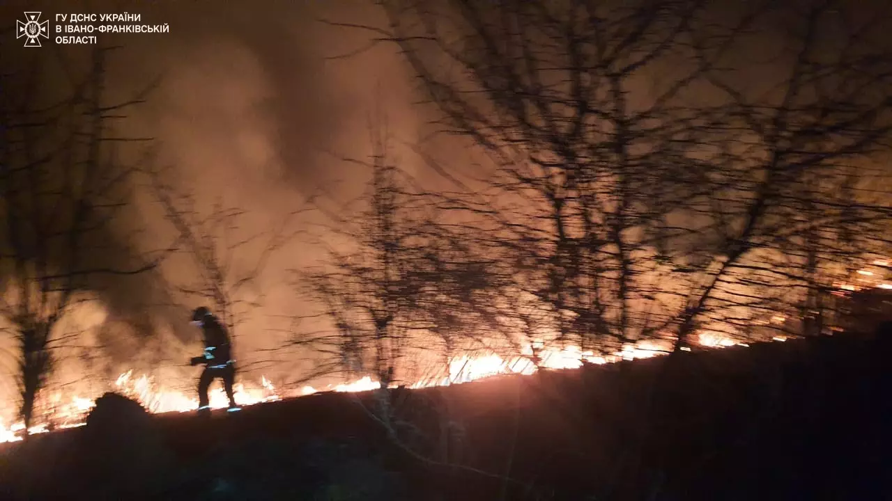 З початку року виникло вже 132 пожежі сухої трави на загальній площі 17,2 гектара