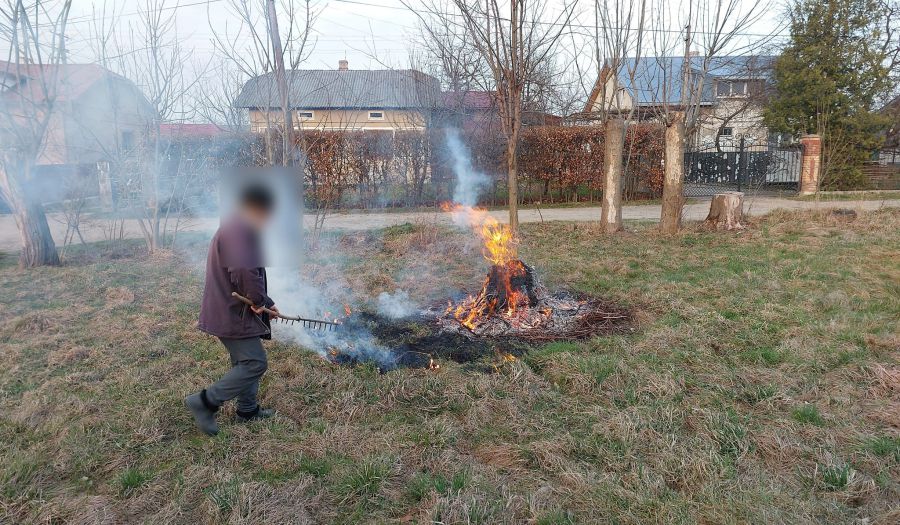 Самовільне випалювання сухої рослинності заборонено законом