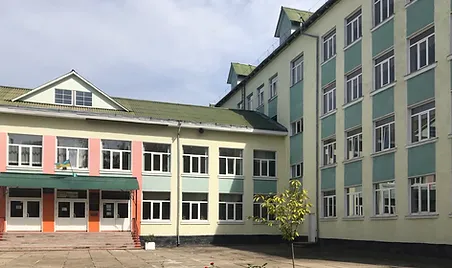 Попередньо проводити додаткові заняття з навчання учнів ліцею зголосилася  Redmonkey IT Academy з Калуша.