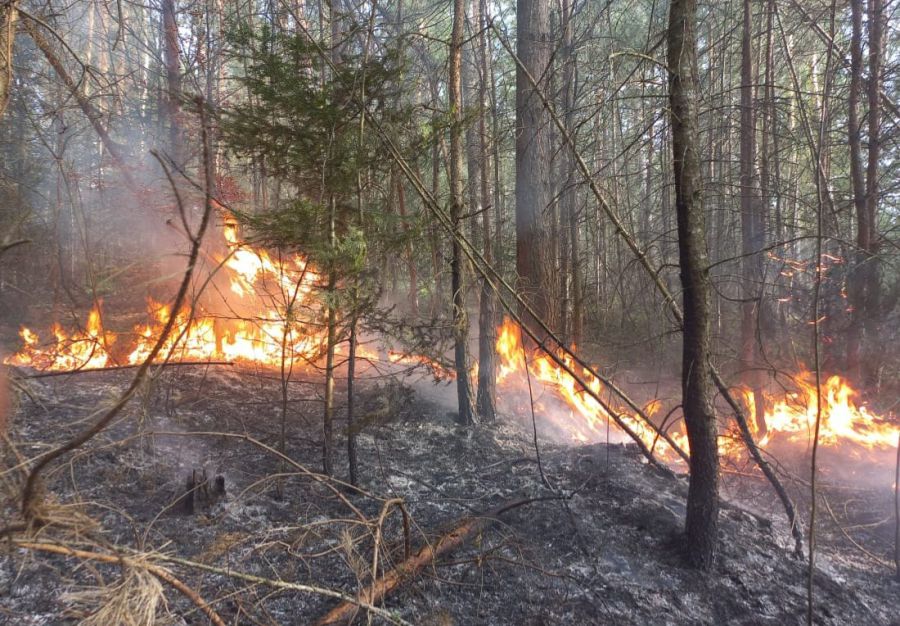 За допомогою БпЛА провели аеророзвідку місця пожежі