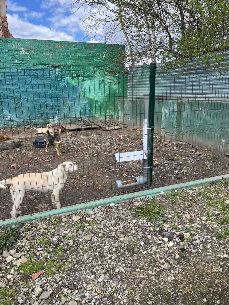 Комунальники закликають долучатися всіх мешканців до ініціатив із наведення ладу