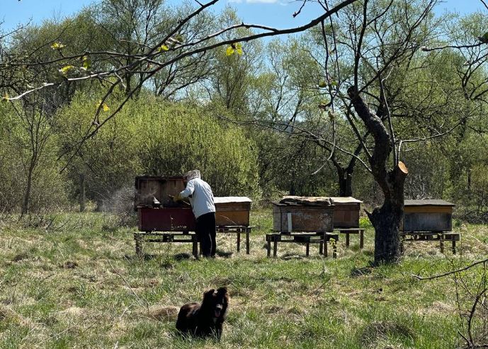 Вулики реабілітаційному центру передав досвідчений бджоляр Федір Турій.
