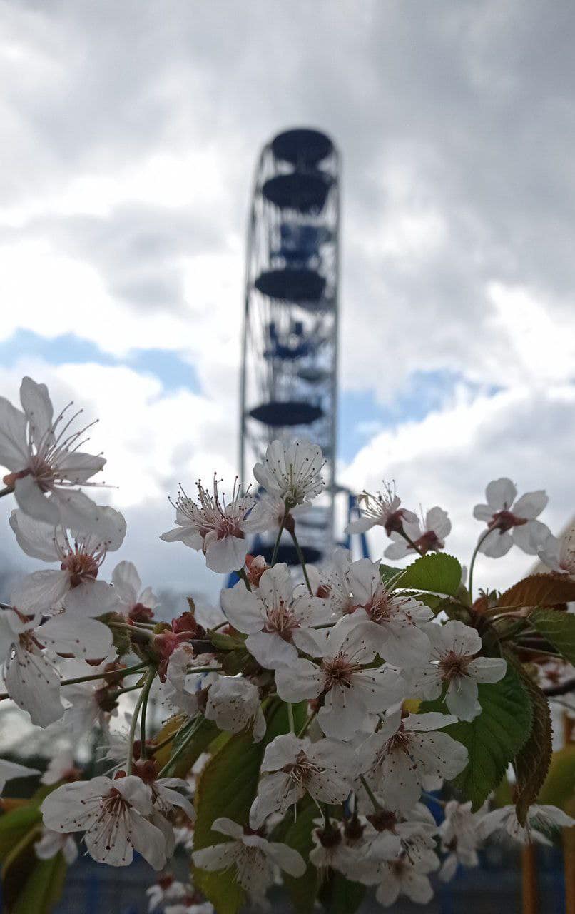 Діятиме традиційна акція "Щасливий квиток", володарі якого отримуватимуть приємні дарунки