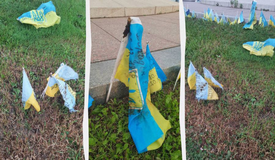 Максимальне покарання, яке загрожує правопорушниці  – до трьох років позбавлення волі. Фото з соцмережі.