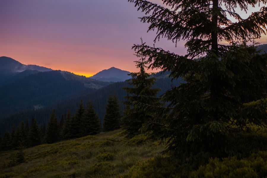 Ілюстроване фото. Наразі до місця події прикордонники викликали співробітників ДСНС та поліції.