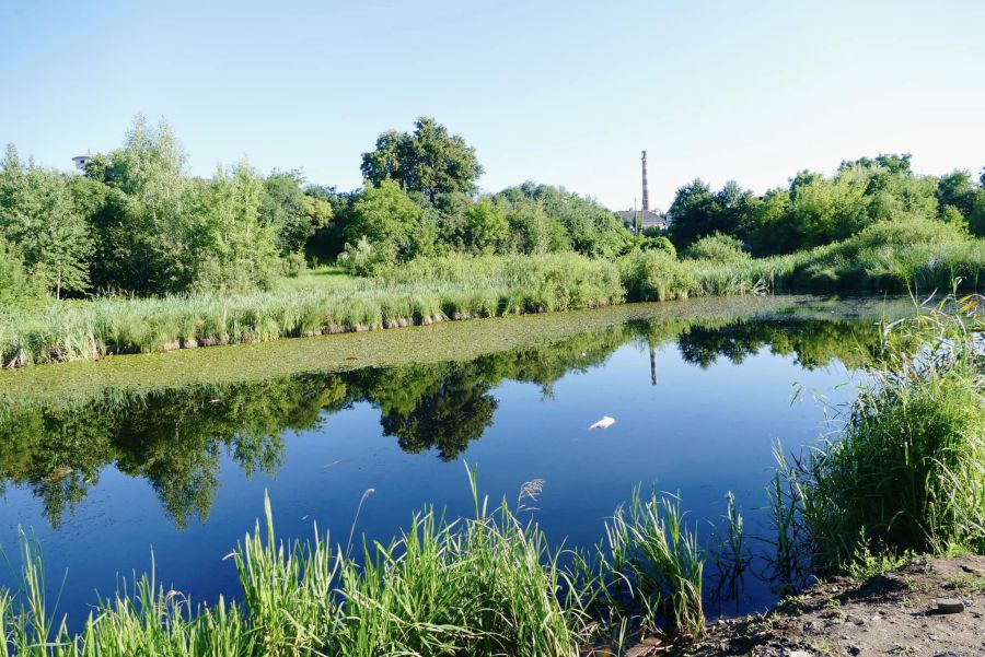 Озеро приведуть до належного виду, щоб це місце стало гарною зоною для відпочинку. Фото: Калуська міська рада