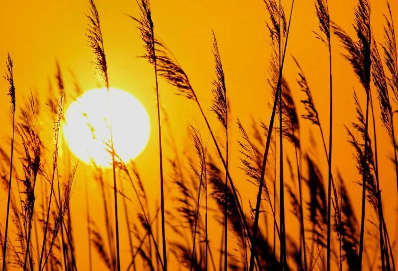 Ілюстроване фото. У західній частині очікується нижча температура повітря, впродовж дня  31 34