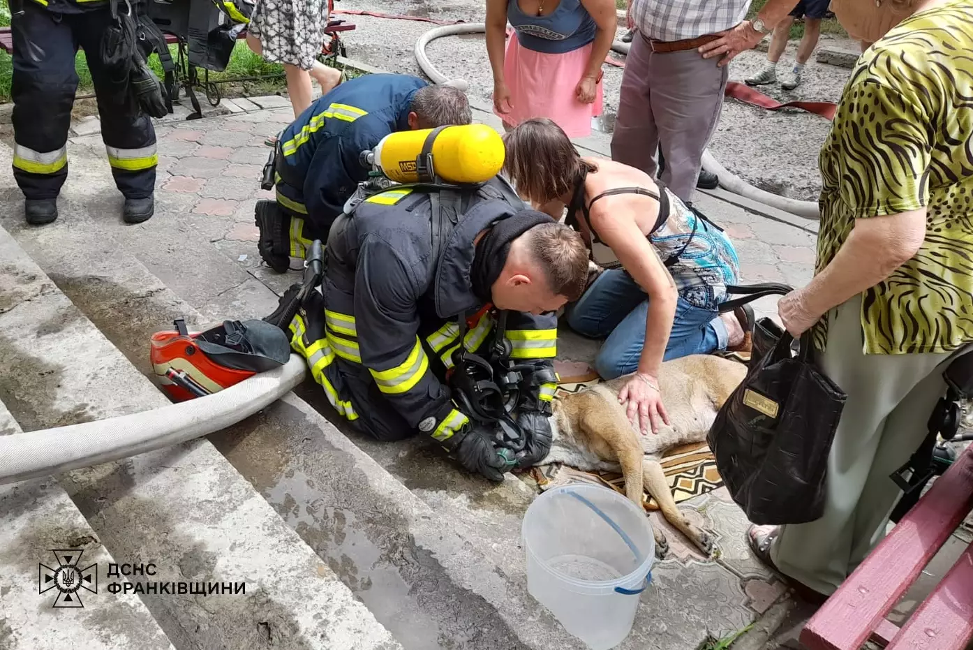Рятувальникам не вдалося реанімувати собак