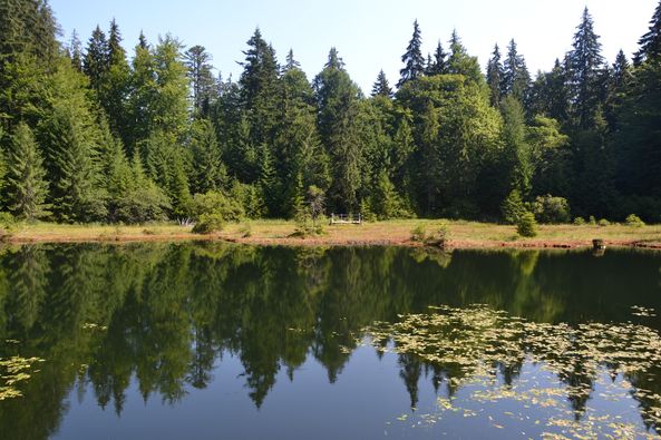 Дике озеро відноситься до високогірних, висячих озер. Фото: НПП "Синевир"