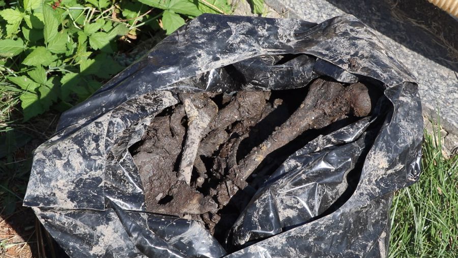 Людські рештки були у домовинах. Фото: НТК