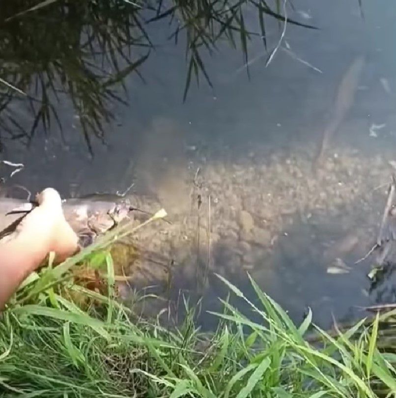 Рибоохоронний патруль продовжує протистояти браконьєрству на водоймах. Фото: скрін із відео
