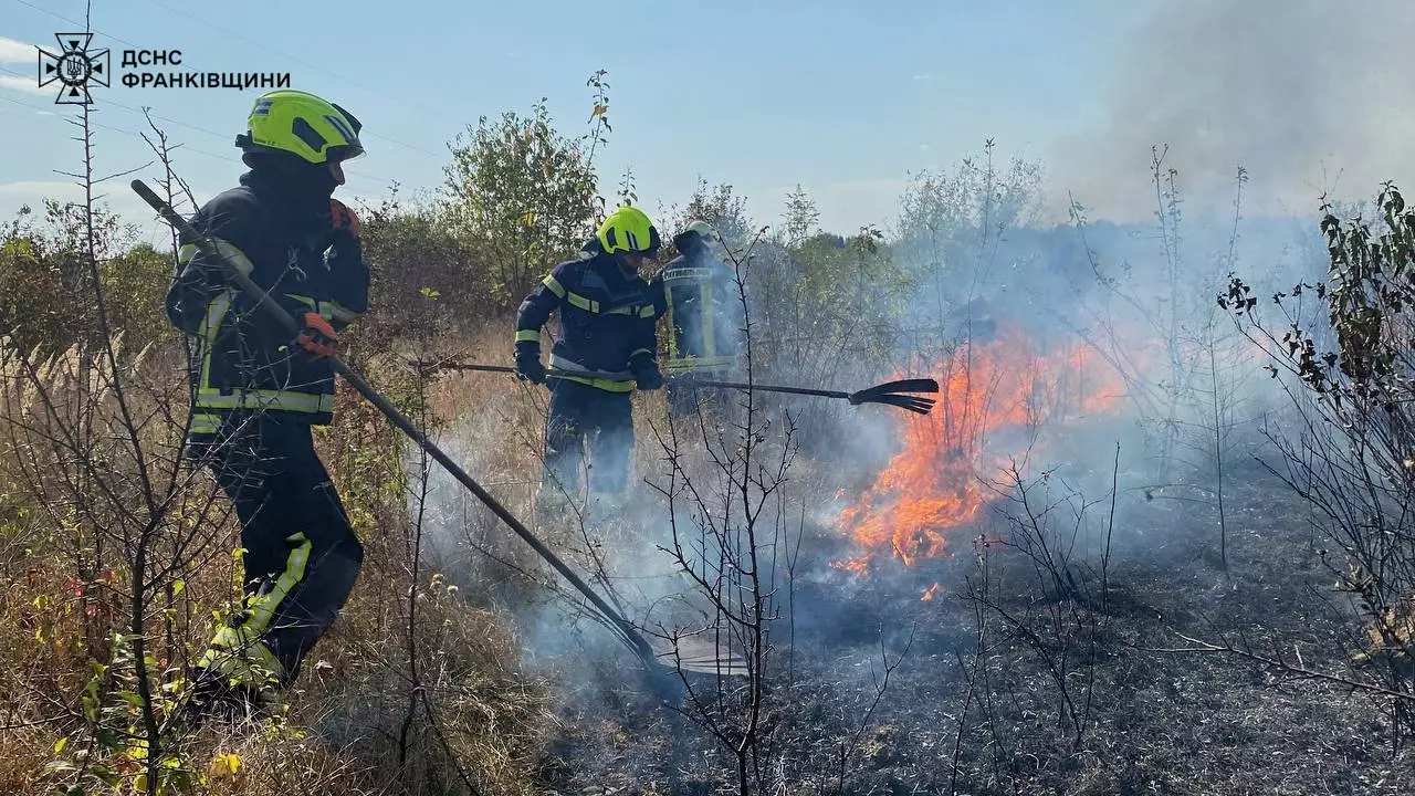 Випалювання сухої рослинності заборонено законом