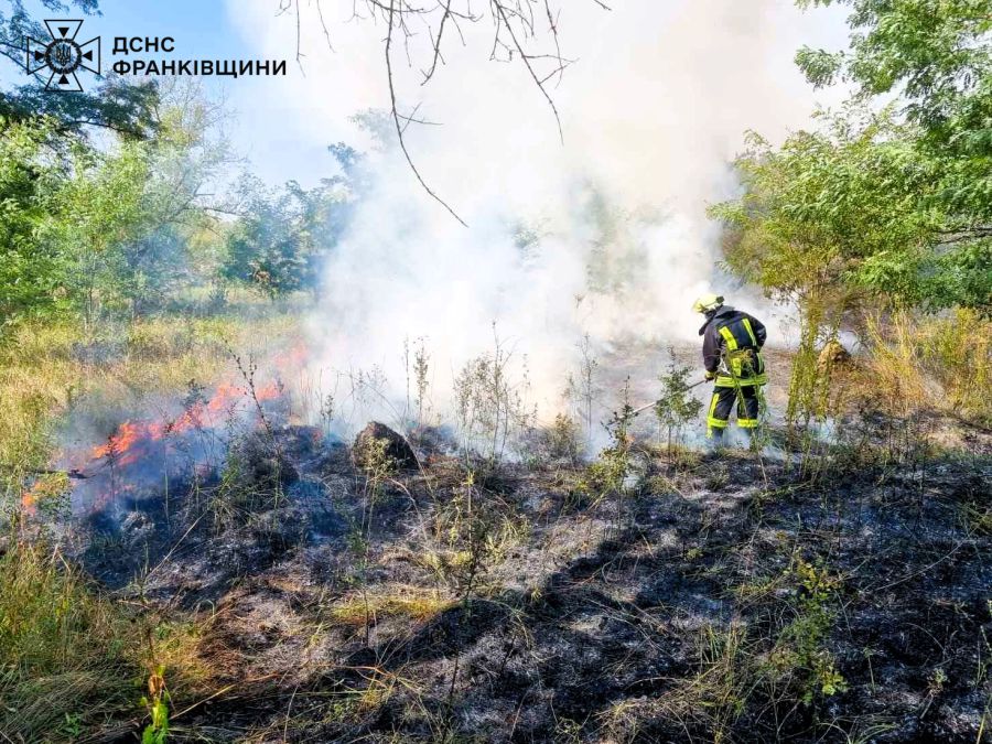 Випалювання сухої рослинності заборонено законом