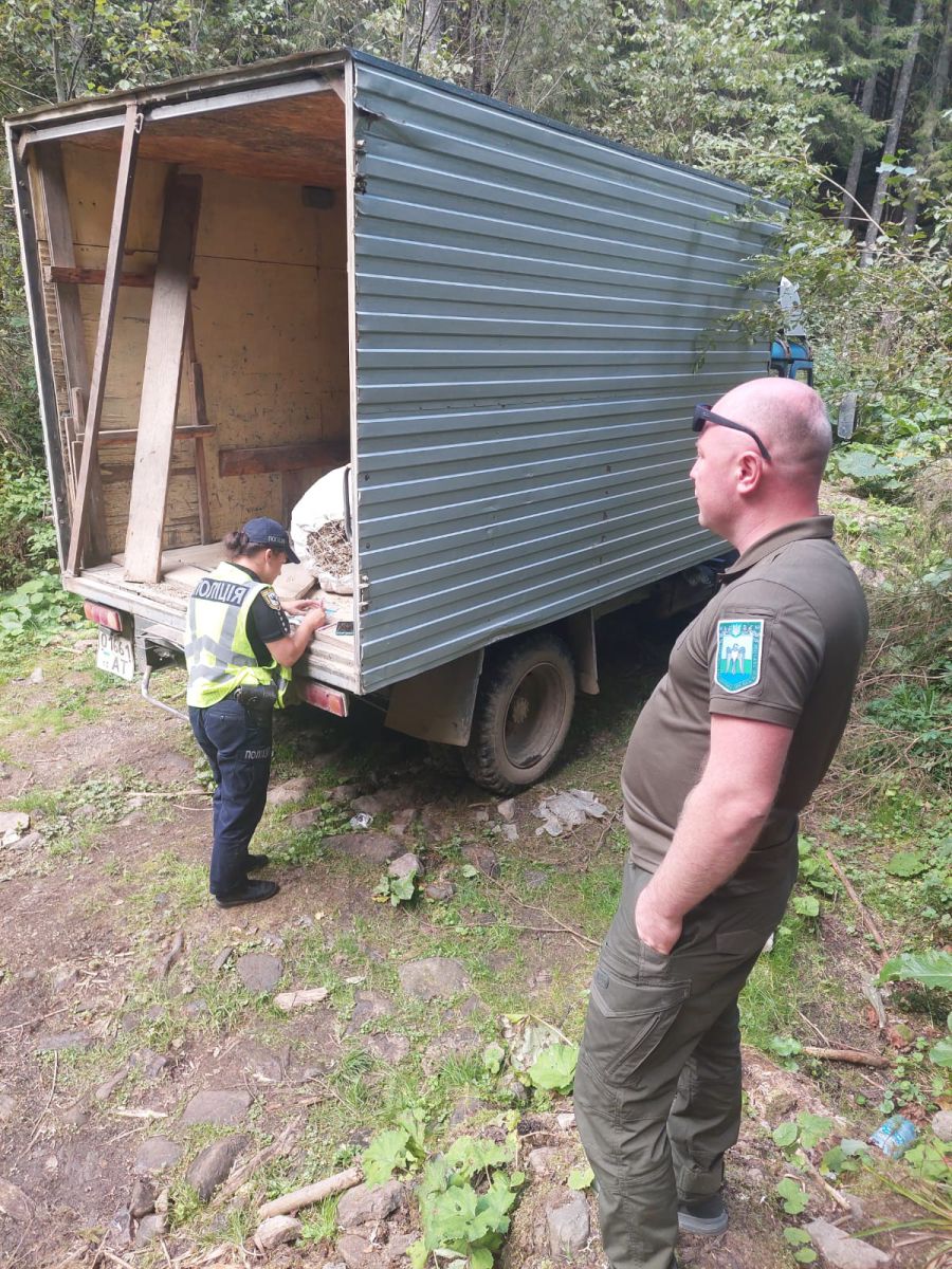 Інспектори виявили незаконну заготівлю ісландського моху