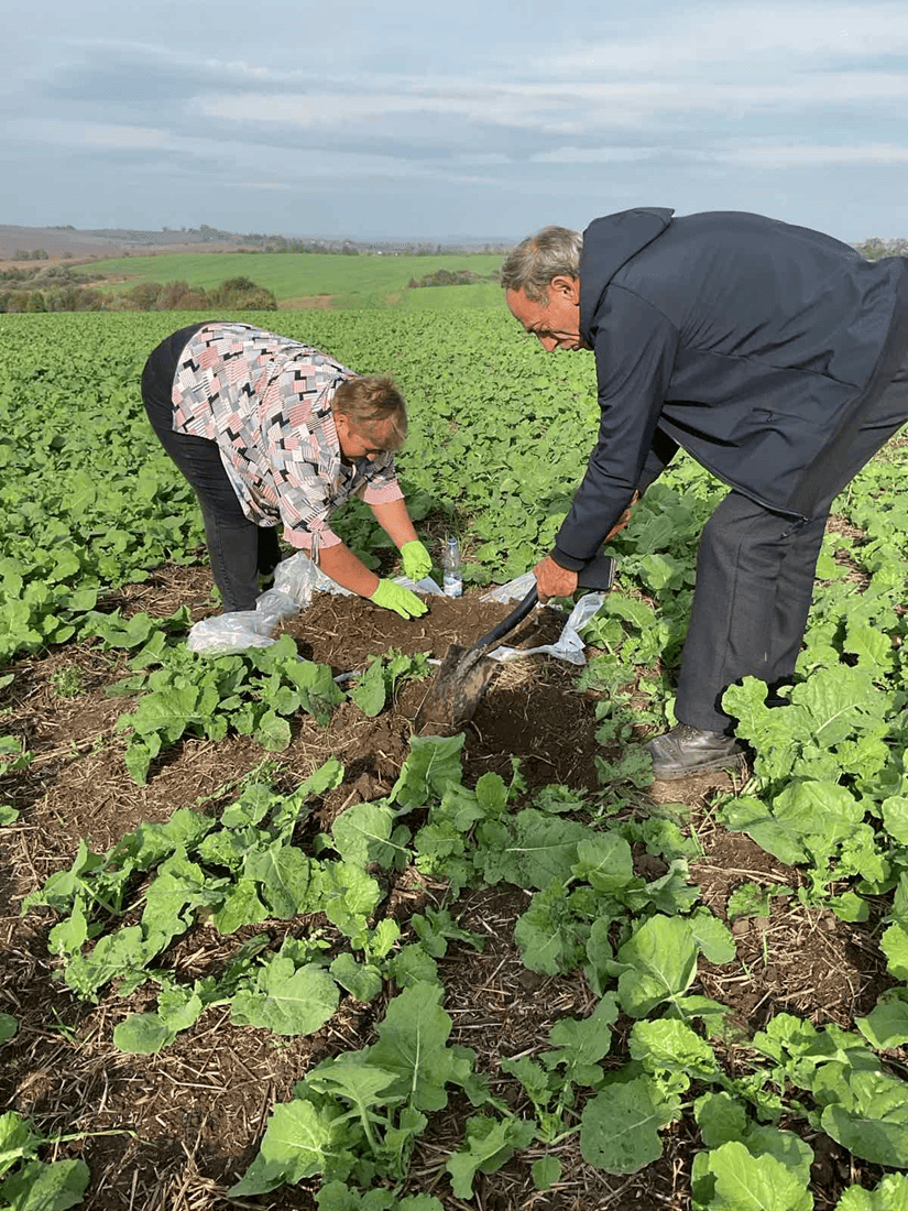 Більшу частину шкідників було виявлено у верхньому шарі ґрунту