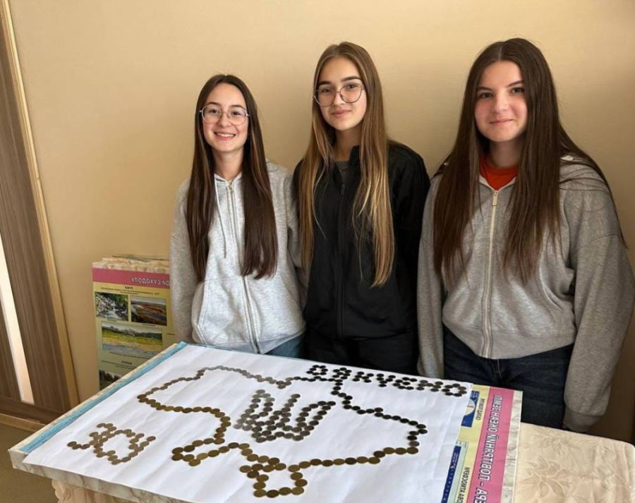 У ліцеї створили мозаїку із зібраних монет на тему вдячності українським військовим