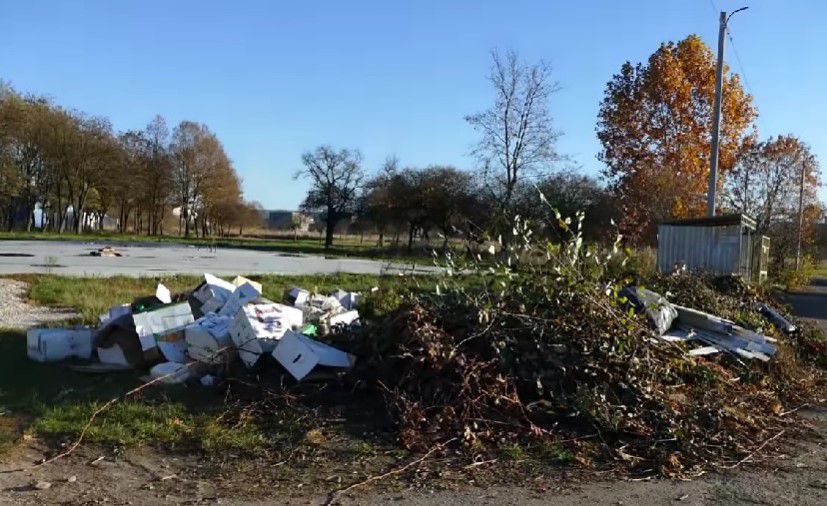 Найбільше таких сміттєзвалищ — на майданчиках у приватному секторі. Фото: скрін із відео