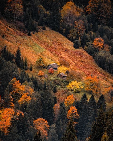 Ілюстроване фото. Найбільші надходження зафіксовано у Поляницькій громаді. Фото: Юрій Українець