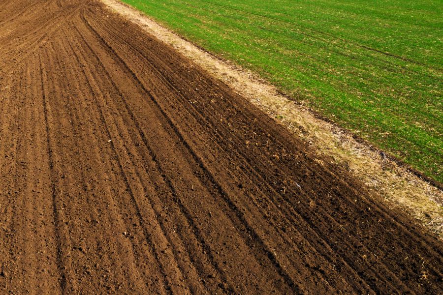 Ілюстроване фото. Площа земельної ділянки становить 121,9557 га