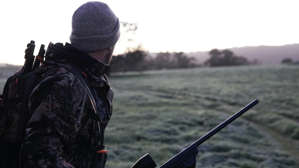 Ілюстроване фото. На Прикарпатті дозволили регулювання чисельності хижаків