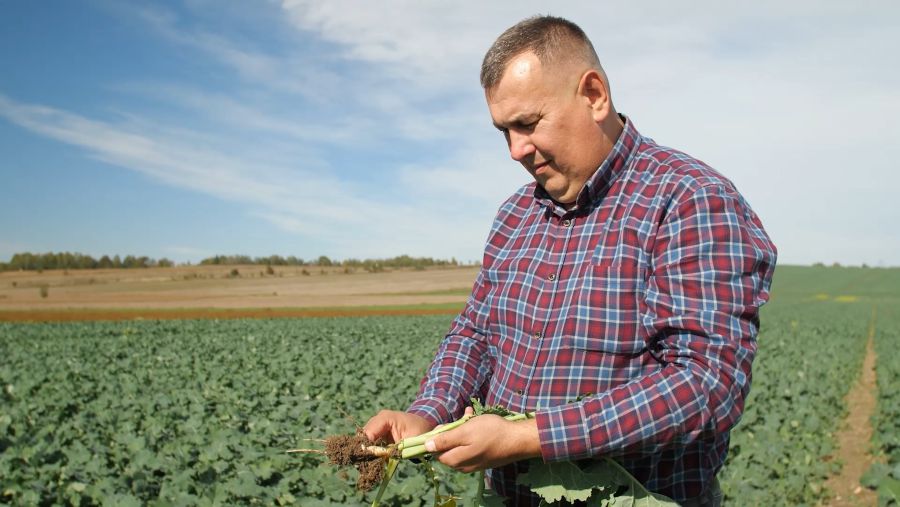 Андрій Патрило має мету, щоб «Гудвеллі Україна» була найкращим господарством не тільки області, але й України