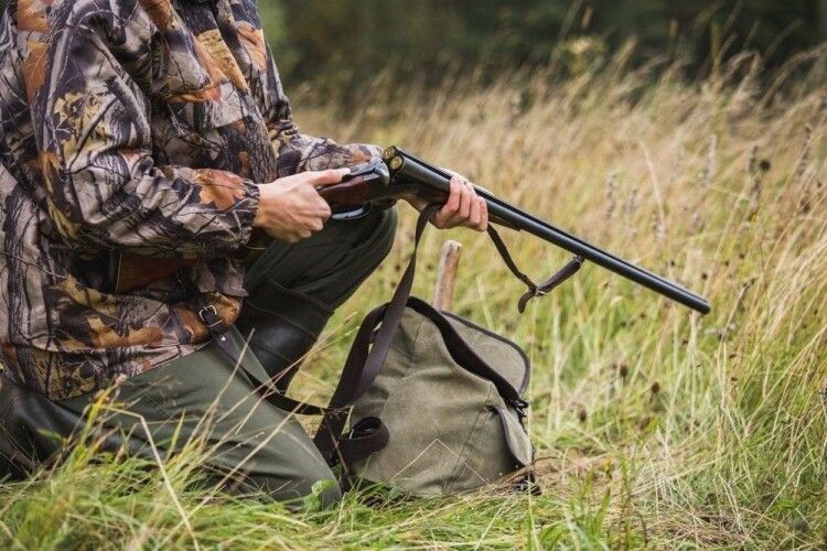 Ілюстроване фото. Мисливці відстрілюватимуть лисиць та вовків  у лісах