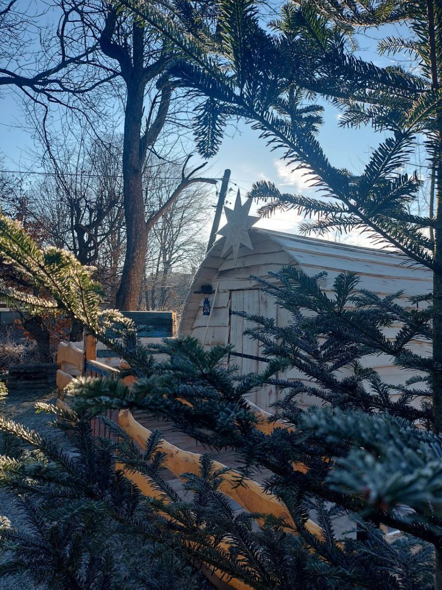 Калушан запрошують  долучитися до спільної коляди