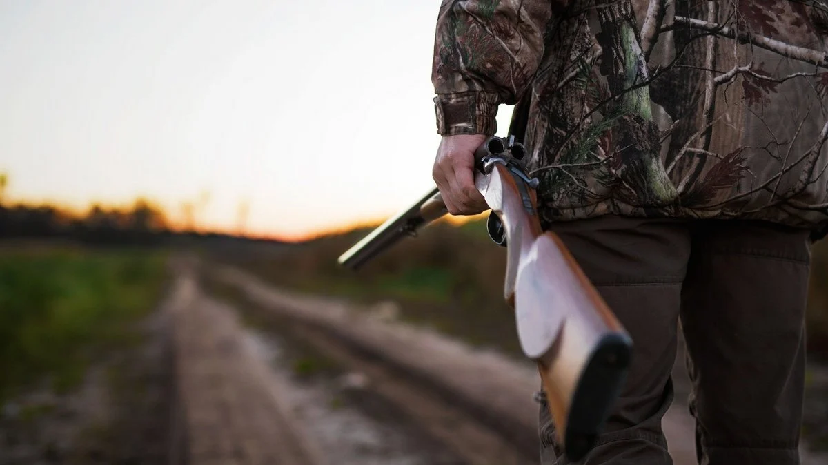 Ілюстроване фото. На Прикарпатті дозволили регулювання чисельності хижаків