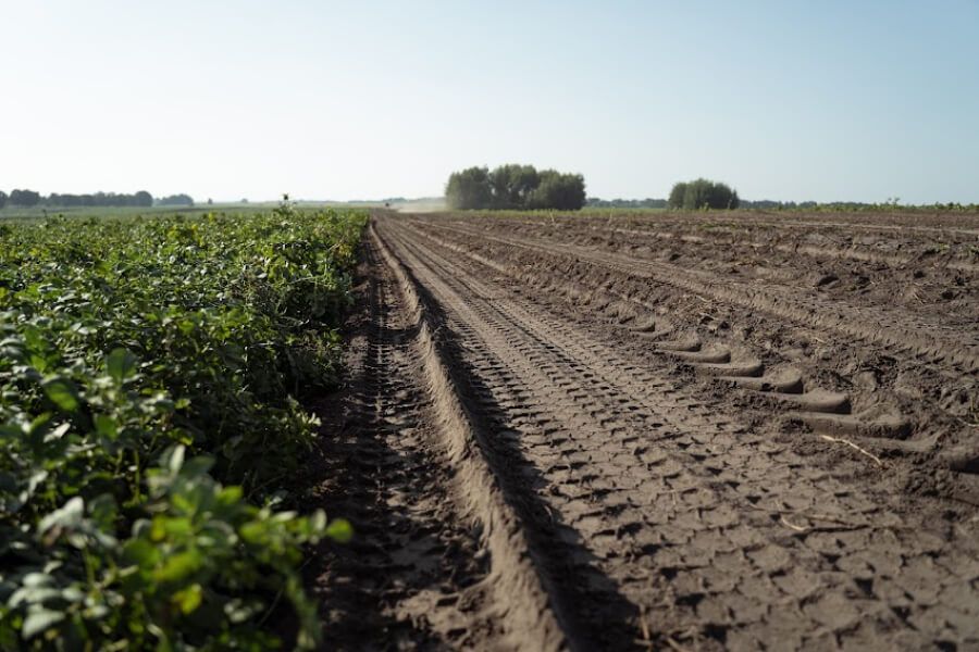 Ілюстроване фото. Аукціон від 26 грудня також визнали таким, що не відбувся