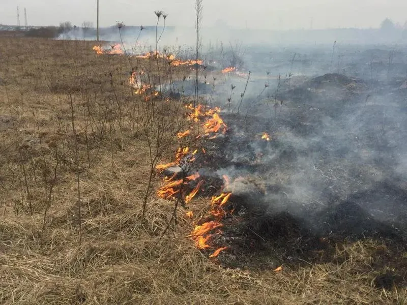 Ілюстроване фото. Невідомі палили траву на околиці села Кропивник